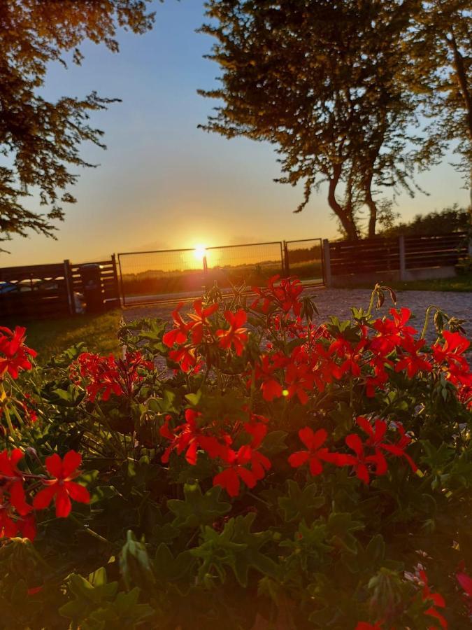 Osada Natura Sliwin Dış mekan fotoğraf